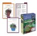  P. Allen Smith's Container Gardens Deck: 50 Recipes for Year-Round Gardening