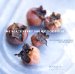 The Blackberry Farm Cookbook: Four Seasons of Great Food and the Good Life