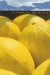  Historical Ontology