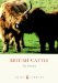  British Cattle