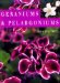  Geraniums & Pelargoniums