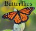  Butterflies 2010 Calendar