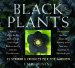  Black Plants: 75 Striking Choices for the Garden