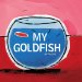  My Goldfish