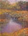  Painting the Impressionist Landscape: Lessons in Interpreting Light and Color