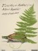  Timothy; Or, Notes of an Abject Reptile: Or, Notes of an Abject Reptile Library Edition