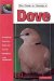 The Guide to Owning a Dove