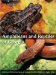  Amphibians and Reptiles of Georgia