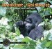  Breakfast in the Rainforest: A Visit with Mountain Gorillas