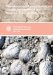  Palaeobiogeography and Biodiversity Change: The Ordovician and Mesozoic-Cenozoic Radiations