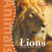  Lions