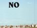  No Reservations: Native American History and Culture in Contemporary Art