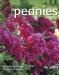  Peonies