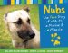  Nubs: The True Story of a Mutt, a Marine & a Miracle
