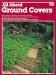  All About Ground Covers