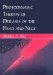 Photodynamic Therapy of Diseases of the Head And Neck