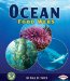  Ocean Food Webs