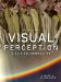  Visual Perception: A Clinical Orientation