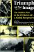  Triumph of the Image: The Media's War in the Persian Gulf-A Global Perspective