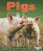  Pigs