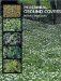  Perennial Ground Covers