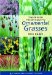  Timber Press Pocket Guide to Ornamental Grasses