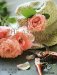  Hotel Du Cap Eden-Roc Cap D'Antibes: The Artisans of Paradise