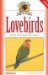  Lovebirds: A Guide to Caring for Your Lovebird