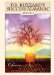  Dr. Buzzard's Success Almanac: Book 1