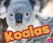 Koalas