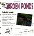 The Simple Guide to Garden Ponds