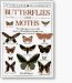  Butterflies and Moths