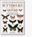  Butterflies and Moths