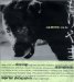 Daido Moriyama: Stray Dog