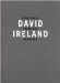  David Ireland: Sculptures, Paintings, Drawings