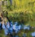  Beautiful Places: The Timeless Beauty of South Carolina State Parks