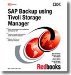  Sap Backup Using Tivoli Storage Manager