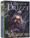 The Legend of Drizzt: Book I