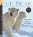  Ice Bear: In the Steps of the Polar Bear