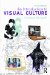 An Introduction to Visual Culture