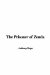 The Prisoner of Zenda: Easyread Super Large 20pt Edition