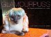  Glamourpuss: The Enchanted World of Kitty Wigs
