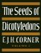 The Seeds of Dicotyledons