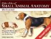  Color Atlas of Small Animal Anatomy: The Essentials