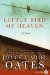  Little Bird of Heaven: A Novel