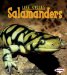  Salamanders
