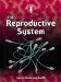 The Reproductive System: Injury, Illness and Health