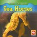  Sea Horses