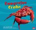  Cangrejos/ Crabs