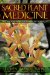  Sacred Plant Medicine: The Wisdom in Native American Herbalism